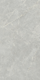 KALE R1424 MANDRI Grey Glans Vloertegel 60x120cm