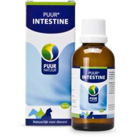 Puur Darm / Intestine 50 ml