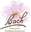 Bach Bloesem