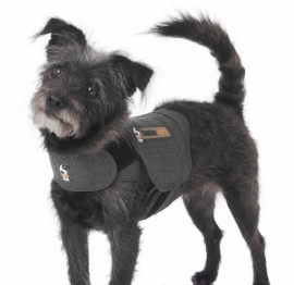 ThunderShirt