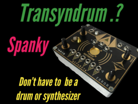 transyndrum SPANKY. !!