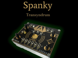 transyndrum SPANKY. !!