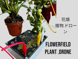 Flowerfield plant .drone