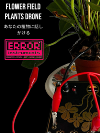 Flowerfield plant .drone