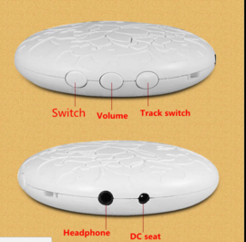 Lotus UFO  Buddhist music  Machine