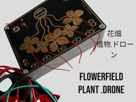 Flowerfield plant .drone