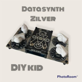 DATA synth  zilfer  v. D I Y