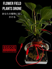 Flowerfield plant .drone