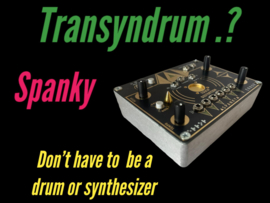 transyndrum SPANKY. !!
