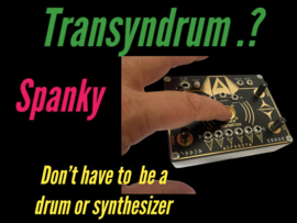 transyndrum SPANKY. !!