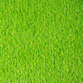 Carpet art Lime | 2 m1 breed
