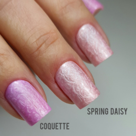 Spring Daisy