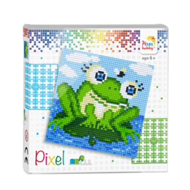 Pixel set kikker