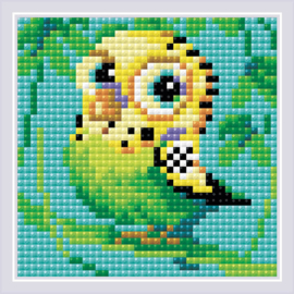 Parakeet 10x10 cm