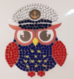 Captain Owl