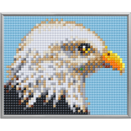 Pixel XL adelaar