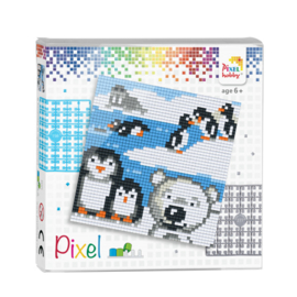 Pixel set pooldieren