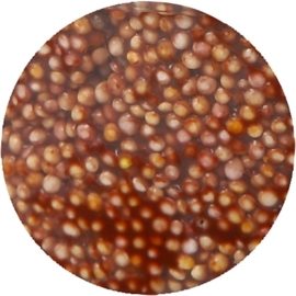 Foam Clay Bruin 35 gram