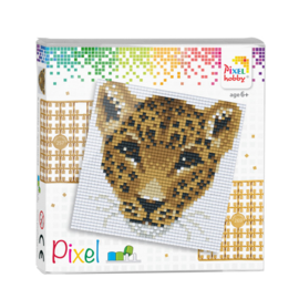 Pixel set Luipaard