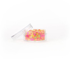 Chunky glitter fluoresent mix (8ml)