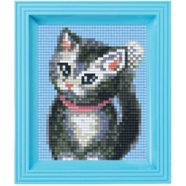 Geschenkverpakking Kitten