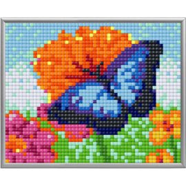Pixel XL Blauwe vlinder