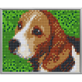 Pixel XL Beagle