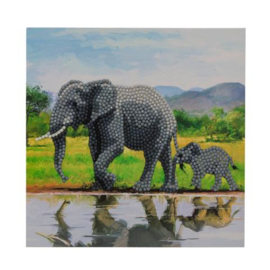 Crystal card Elephans