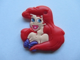 Ariel per stuk