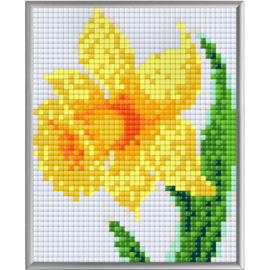 Pixel XL Narcis