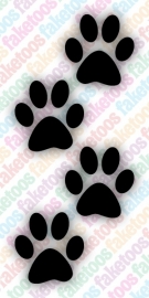 (66) Paw Prints