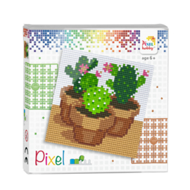 Pixel set Cactussen