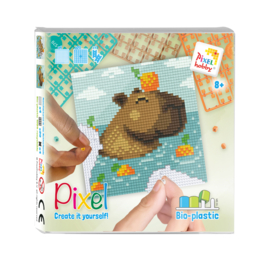 Pixel set capibara