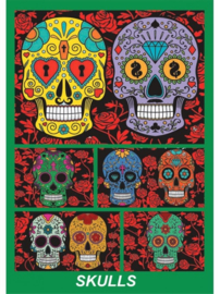 Skull