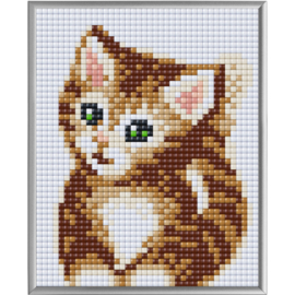 Pixel XL Kitten