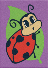 lady bug