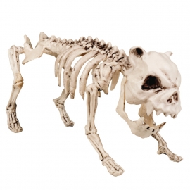 Scary dog skeleton