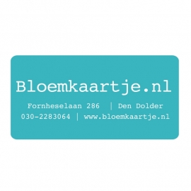 STF1315 | Sticker
