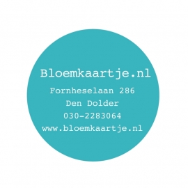 STF1335 | Sticker
