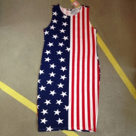 Stars & Stripes Kneelenght Dress