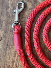 Halstertouw - Rood - 2 m.