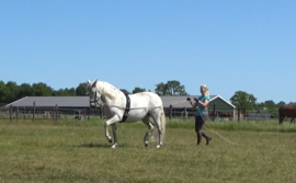 Dubbele Lange Lijnen - 6,5m. - 12mm