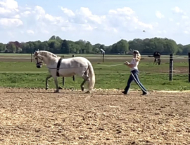Dubbele Lange Lijnen - Online Cursus