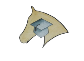 Dubbele Lange Lijnen - Online Cursus