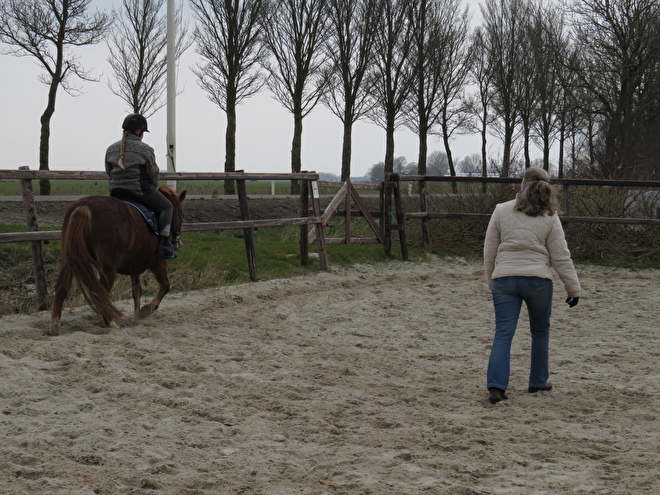 Paardrijles op eigen paard in friesland