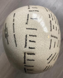 Phrenology hoofd ivoorwit