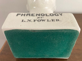 Phrenology hoofd ivoorwit