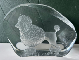 Nybro presse papier poedel kristal