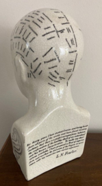 Phrenology hoofd ivoorwit