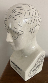 Phrenology hoofd ivoorwit